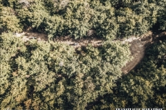 DJI_0123